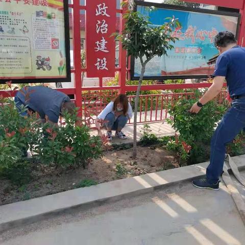 宝莲寺镇开展人居环境集中整治行动