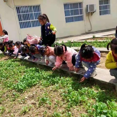 🎏分享快乐！🎊时光很美，有你们更甜💕！……记第六周的我们！