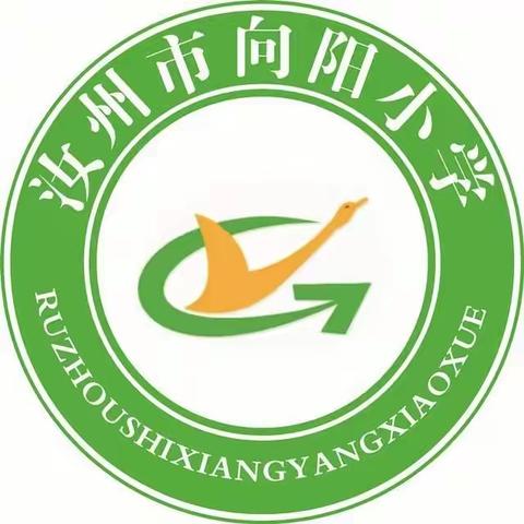 你认真的样子，真好看——向阳小学向阳校区第九周工作纪实