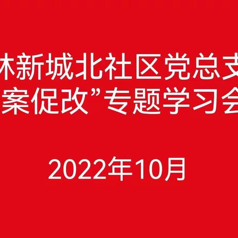 江林新城北社区党总支部开展“以案促改”专题学习会议