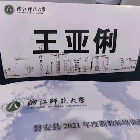 新教师培训总结