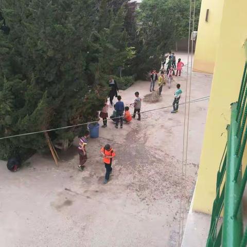 五月第一次大扫除——将爱卫活动进行到底