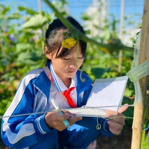 习作课《______即景》| 仔细观察泉思涌，精耕细“作”方成文