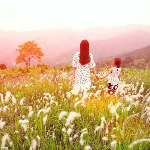 清凉夏日