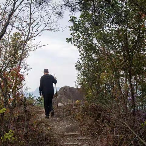 登五台山