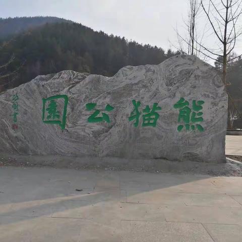虚白作品小样