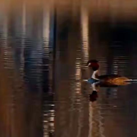 《津门湿地摄影人》2022年一季度摄影作品（一）