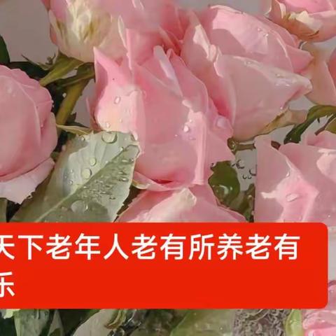 2022年四川省老年人运动会气排球比赛在自贡圆满落幕