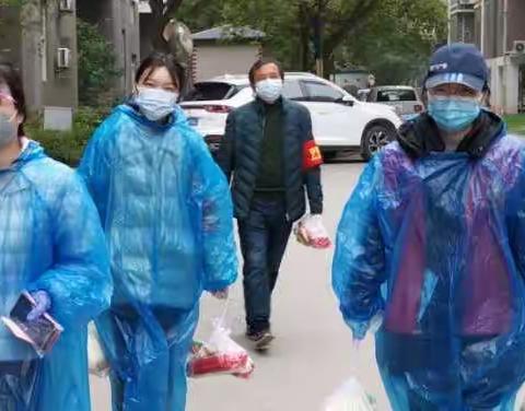 停不下的脚步  隔不断的爱----武汉市汉南区纱帽街薇湖路社区第一临时党支部防疫事迹