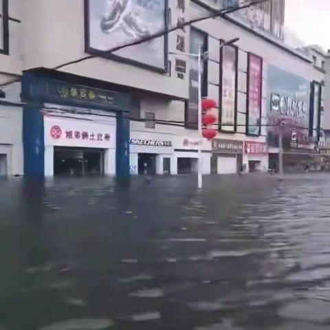 洪水无情真情在，服务人民我光荣——一位共产党员、退伍军人、抗洪志愿者的自述