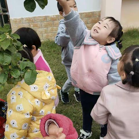 秋天的味道——幼儿园里桂花香！