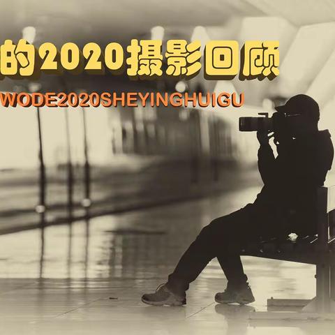 我的2020摄影回顾