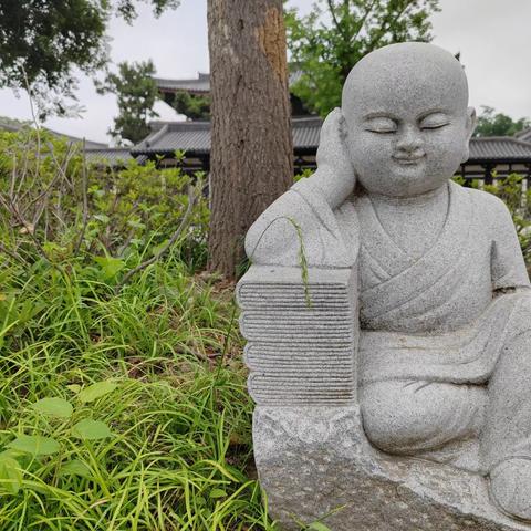 恶衣恶食诗更好非佛非仙人出奇