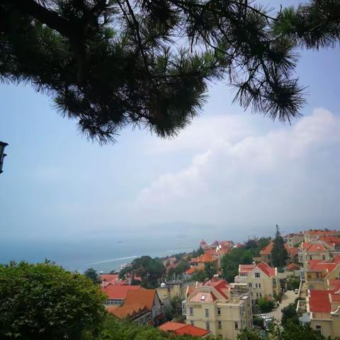 见山 看海 慢游青岛（二）