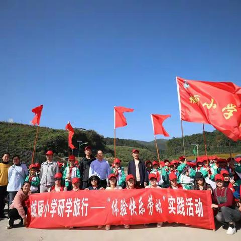 研学旅行   学乐结合----城厢小学走进吉内得"体验快乐劳动"实践活动