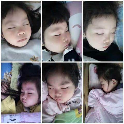 多彩童年—小1班第十三周在园生活分享