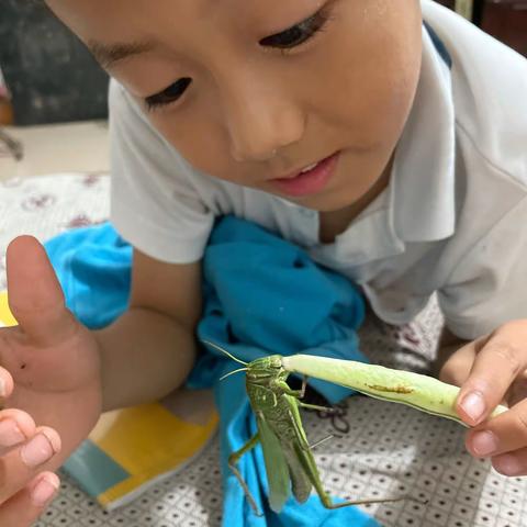 2019级9班《逐梦周刊》