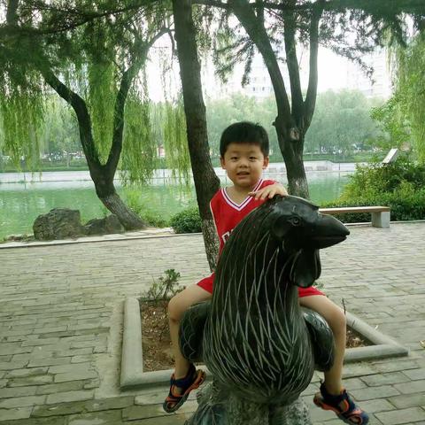 督宝的成长足迹(四)