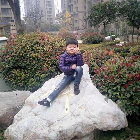 督宝的成长足迹