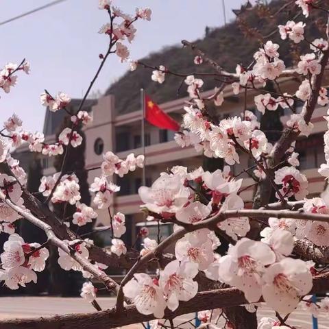 “研”无止境      “数”有专攻——英中校际联合体数学教研活动纪实