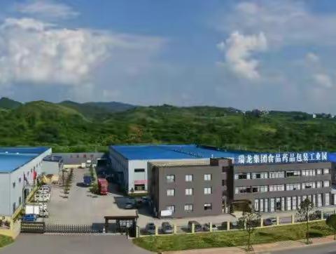 贵州瑞龙集团简介