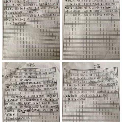 缙云县坑沿小学PBL项目—我喜欢的校园一角