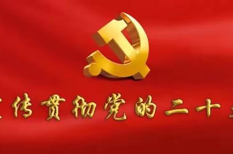 峡口小学党支部深入学习宣传贯彻党的二十大精神