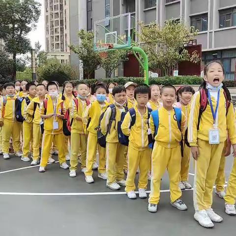 最美丰收季，劳动享快乐———记萌芽三五班秋季研学