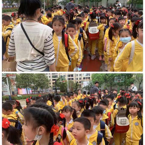 追寻阳光里的三月天———记萌芽二五班2022年春季研学活动