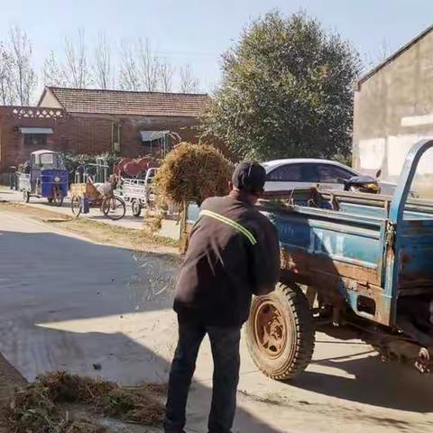 【新时代文明实践 铜山在行动】黄集镇圣范村村内环境整治