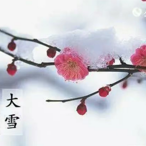 大雪节气，遇见美好-淮阴实验小学幼儿园