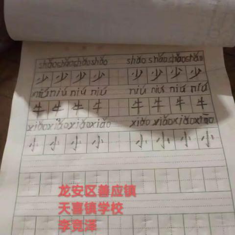 写好中国字，做好中国人 安阳市龙安区善应镇天喜镇学校练字小达人活动（副本）