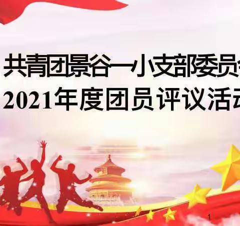 共青团景谷一小支部委员会2021年度团员评议