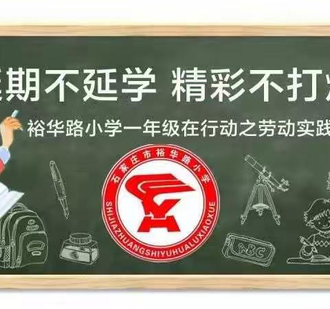 延期不延学，精彩不打烊（五）—裕华路小学一年级在行动之劳动实践篇