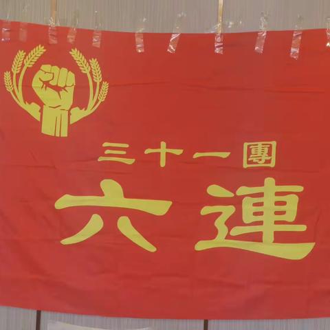 久久不见久久见