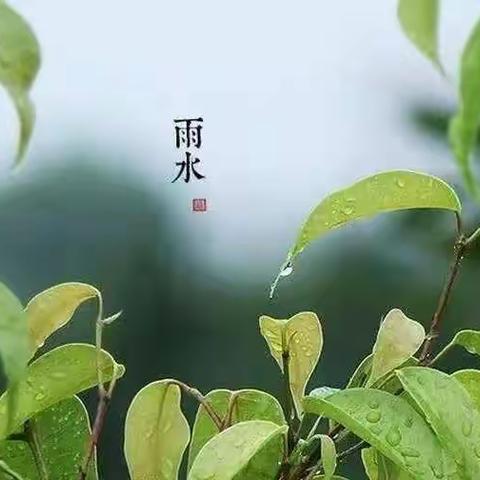 【二十四节气之雨水】“一朝春雨，万物清朗”——盐池县第三幼儿园雨水节气主题活动