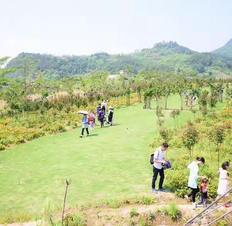 约会绿色·扮靓春天（植树&采摘）