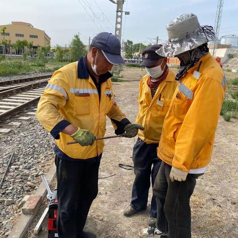 库东·王志强的美篇