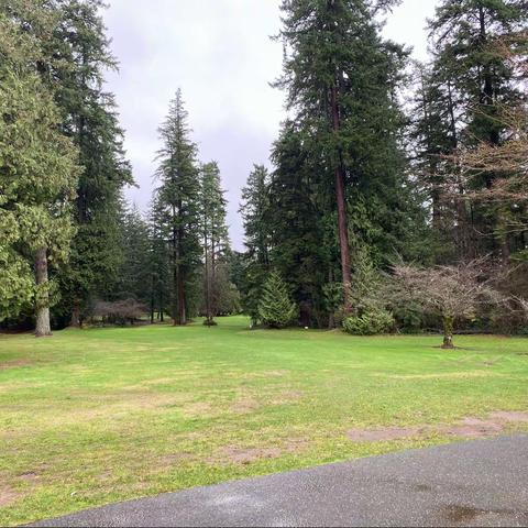 多雨时节的公园小景