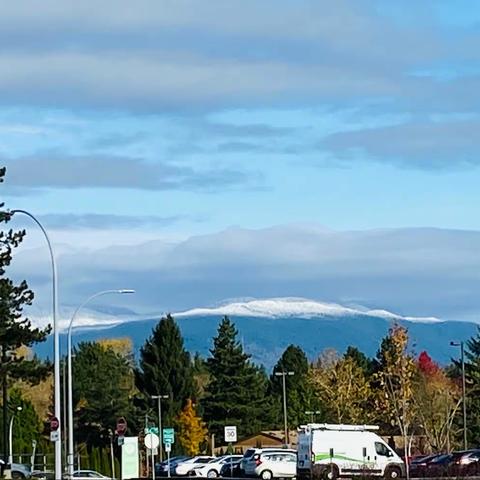 远近高低各不同