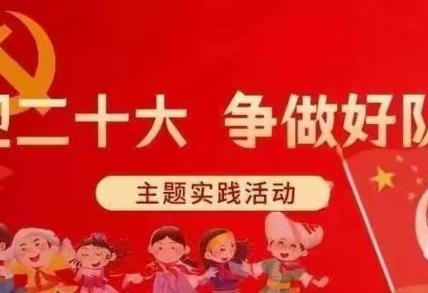 喜迎二十大 争做好少年——看庄镇柳下邑小学少先队开展“互检互学互评”活动