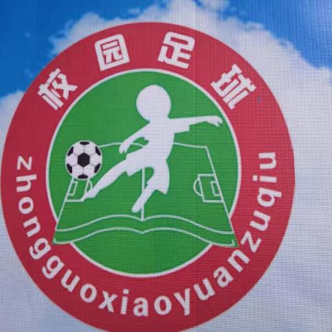 “森林湖畔杯”辛集市辛集学区第一届中小学生足球联赛开幕了