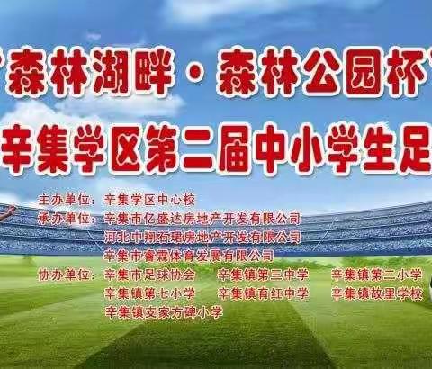 “森林湖畔 · 森林公园杯”辛集市辛集学区第二届中小学生足球联赛开幕了！