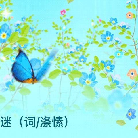 意乱情迷（词/涤愫）