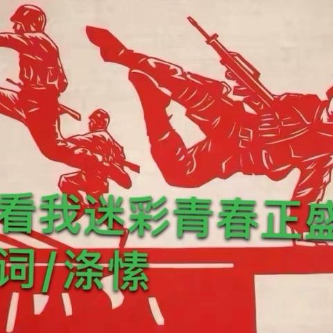 看我迷彩青春正盛