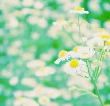 2017，我们携手共进！ 第一次家长会