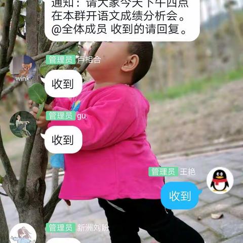 总结反思促提升，交流研讨共成长