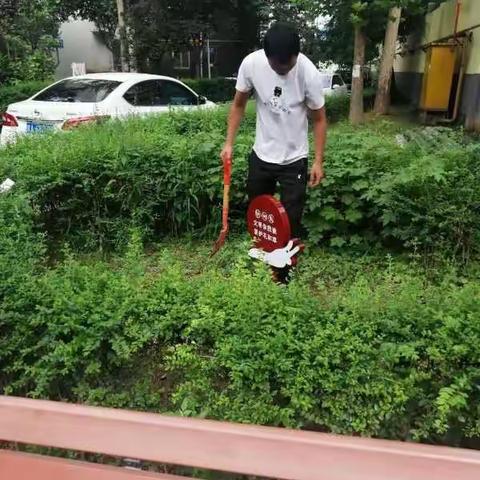 【莲湖★枣园★远东西社区】加强遵德守礼和文明养犬宣传，推进文明城市创建（副本）