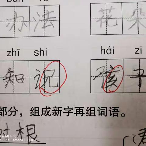 二上第一单元知识问题总结