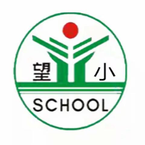 【望仙小学】绿意满校园，蔬香润心田——五三班劳动教育收获篇